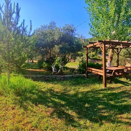 Geyikbayiri Vita Camping Otel מראה חיצוני תמונה