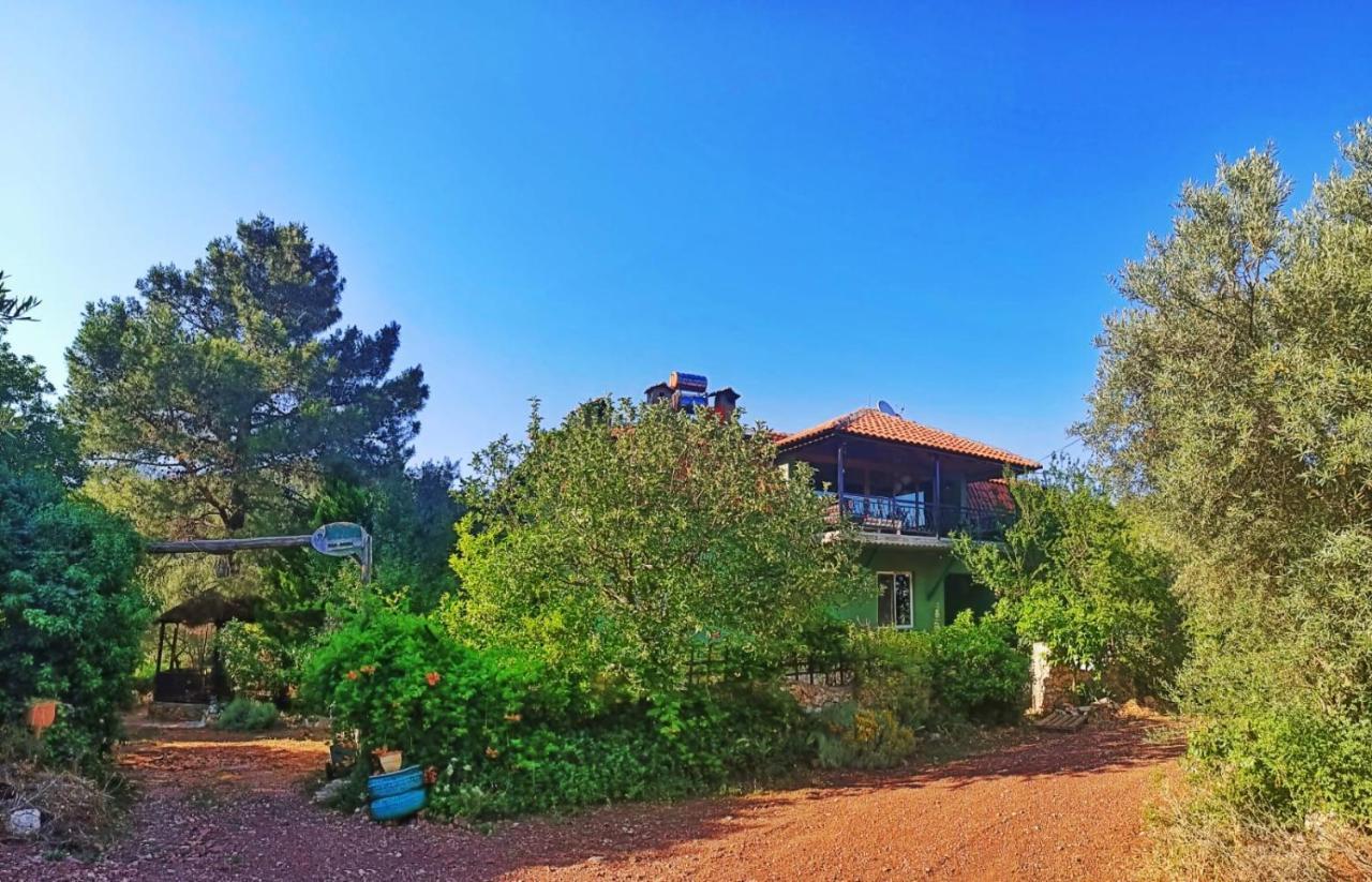 Geyikbayiri Vita Camping Otel מראה חיצוני תמונה