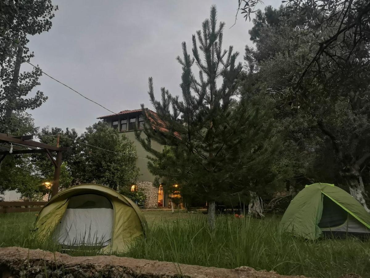 Geyikbayiri Vita Camping Otel מראה חיצוני תמונה