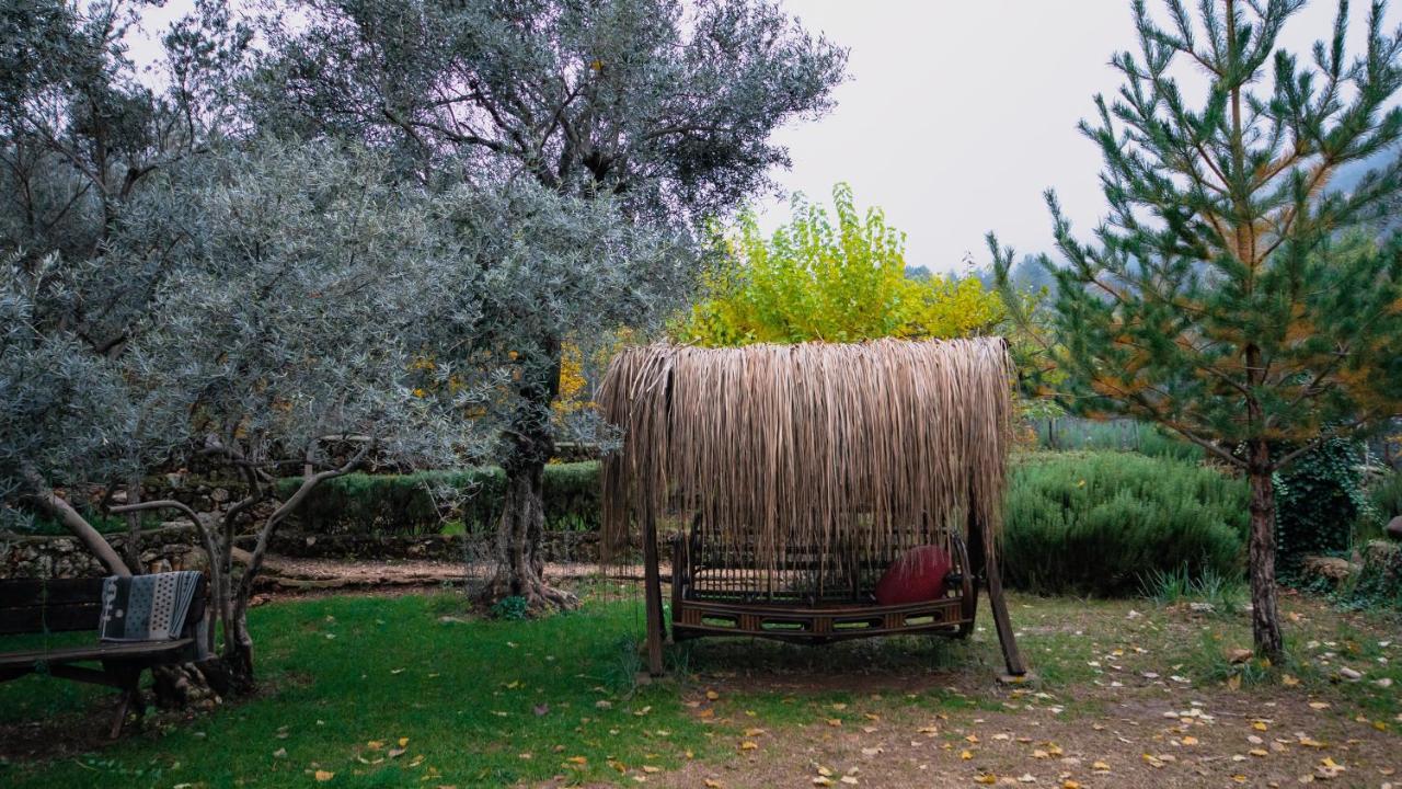 Geyikbayiri Vita Camping Otel מראה חיצוני תמונה