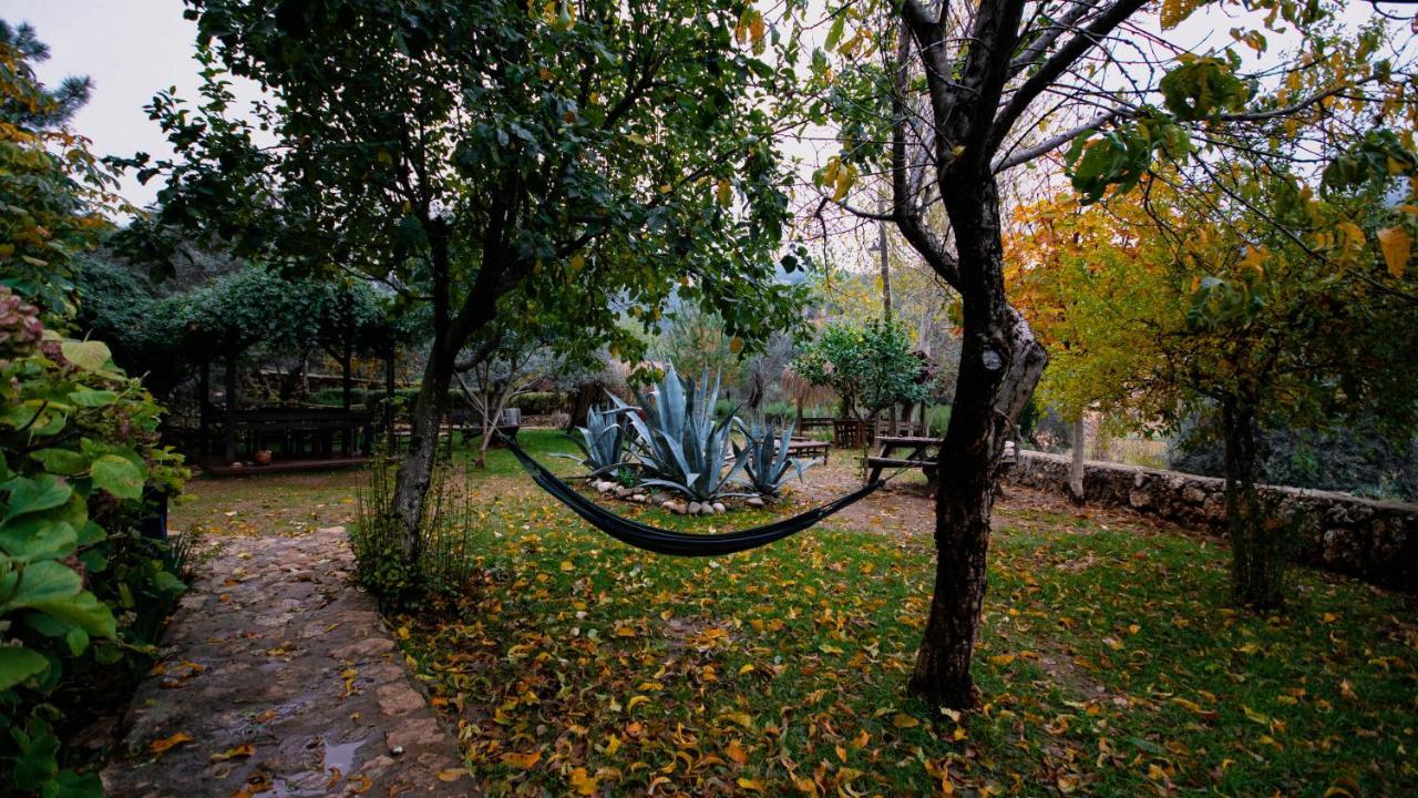 Geyikbayiri Vita Camping Otel מראה חיצוני תמונה