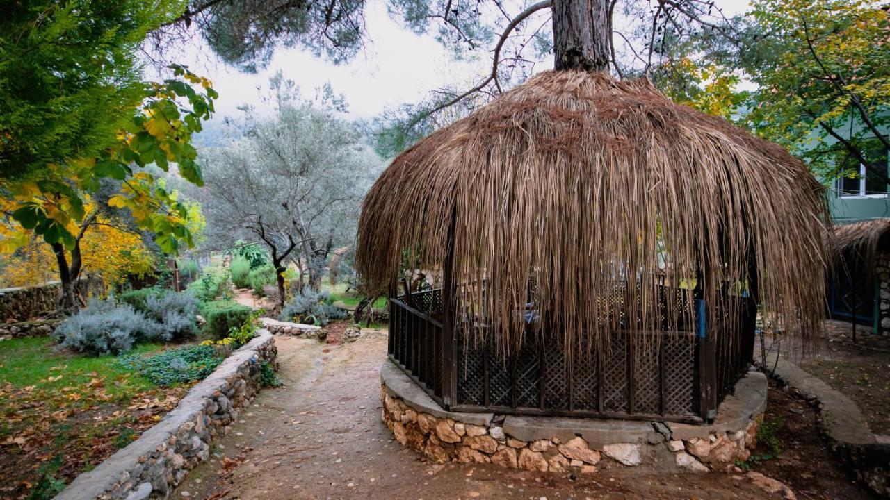 Geyikbayiri Vita Camping Otel מראה חיצוני תמונה
