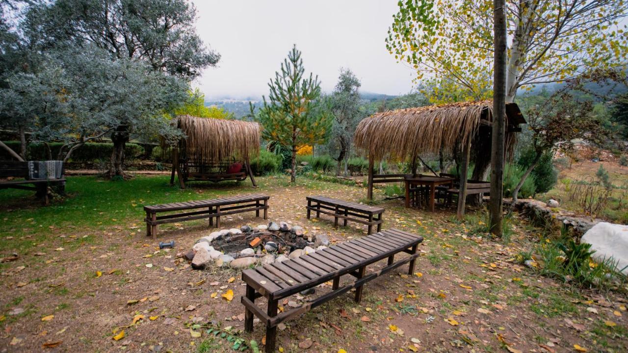 Geyikbayiri Vita Camping Otel מראה חיצוני תמונה