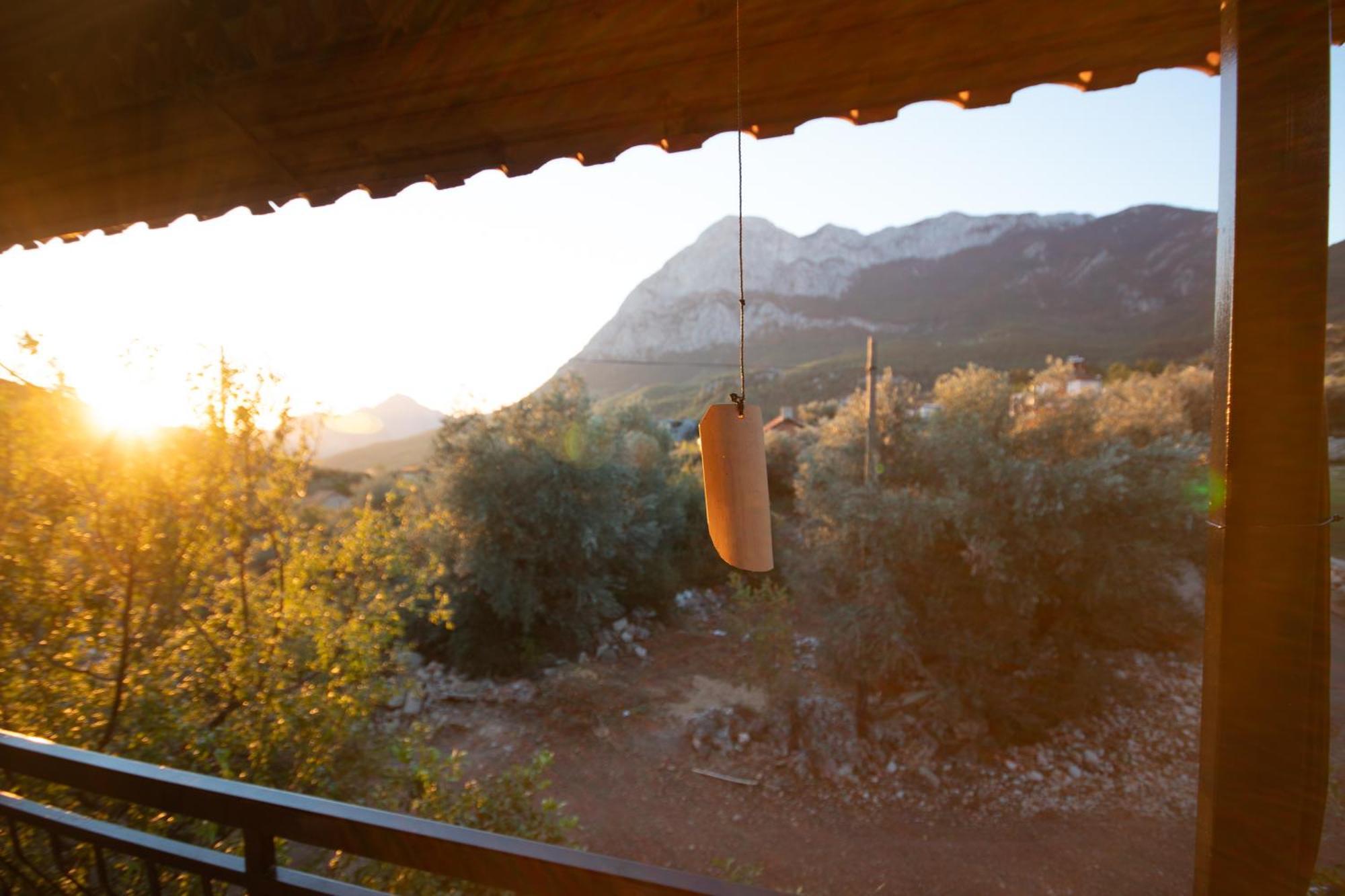 Geyikbayiri Vita Camping Otel מראה חיצוני תמונה